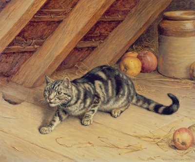 Alarm von Frank Paton